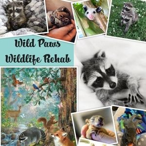 Meet your Posher, Mariah